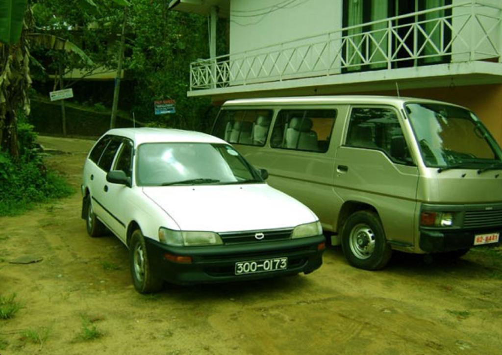 Palm Garden Home Stay Deiyannewela ภายนอก รูปภาพ
