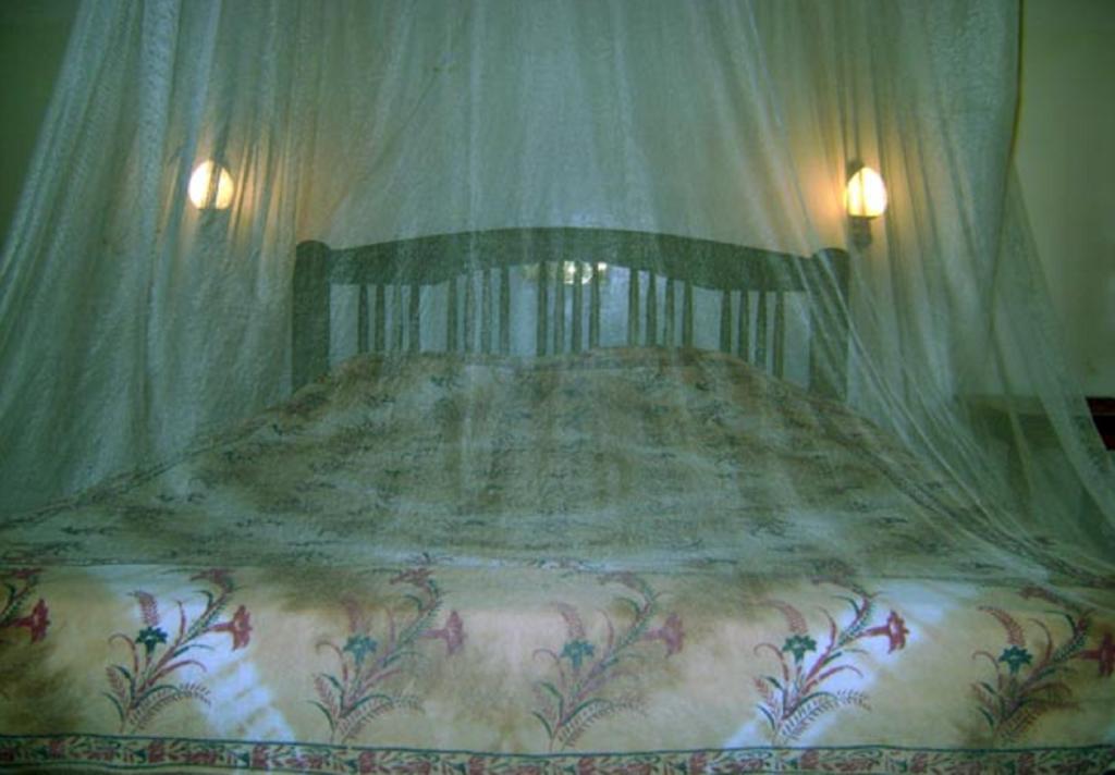 Palm Garden Home Stay Deiyannewela ห้อง รูปภาพ